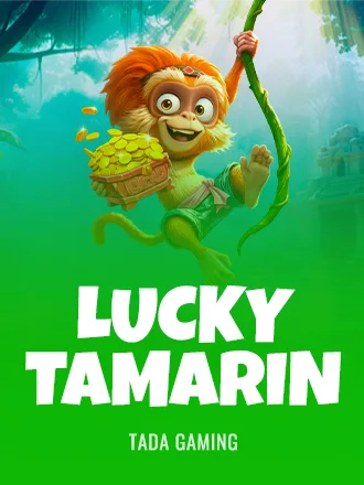 Lucky Tamarin — BetPortal